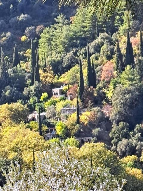 Valeondades Villa Valeontádes Eksteriør billede
